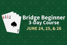Bridge Beginner Course (3-Day)